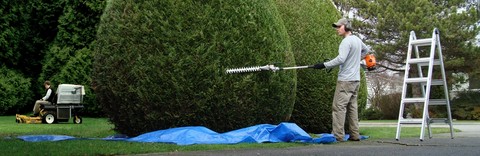 Travaux de jardinage Herblay 95